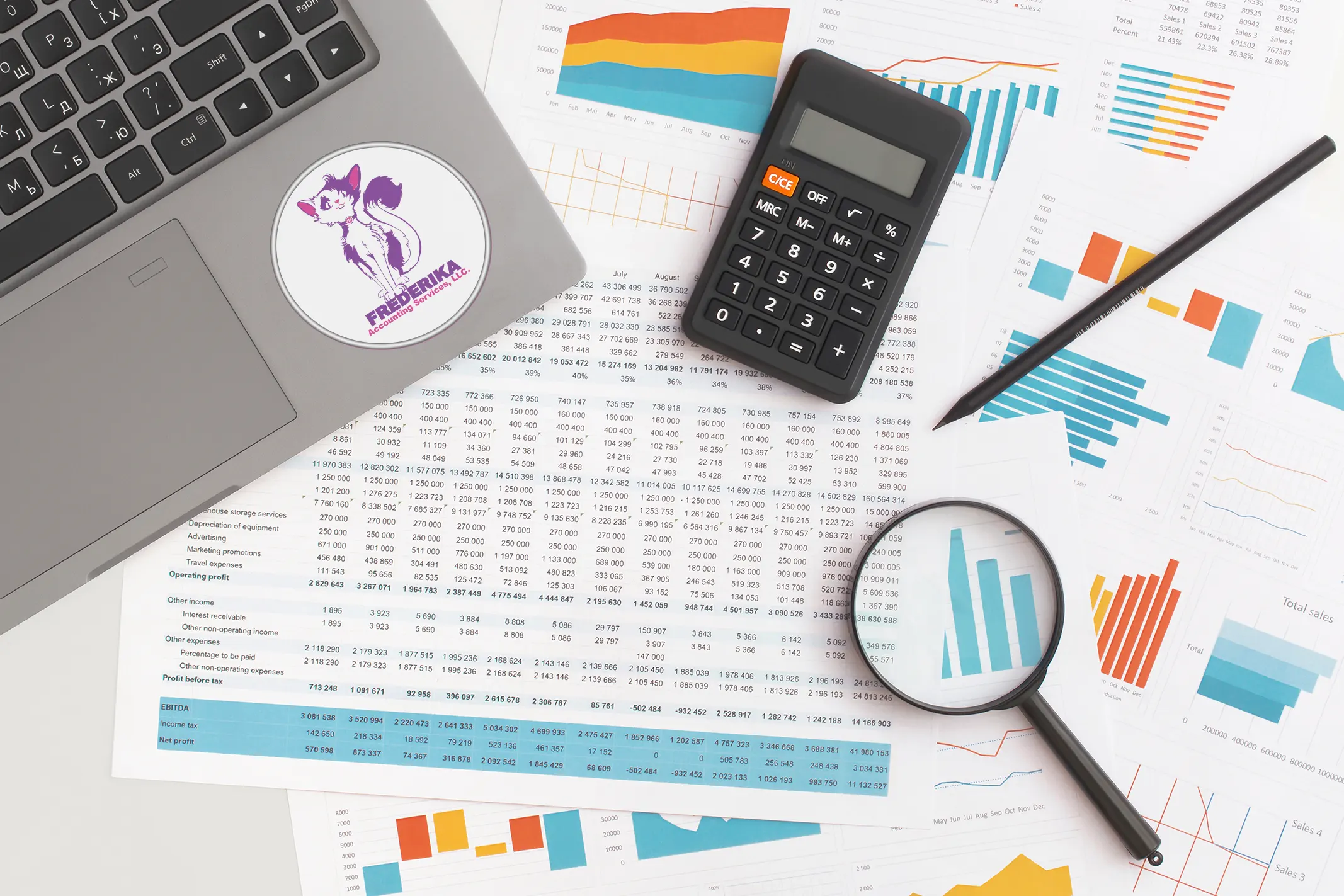 About Frederika Accounting Services